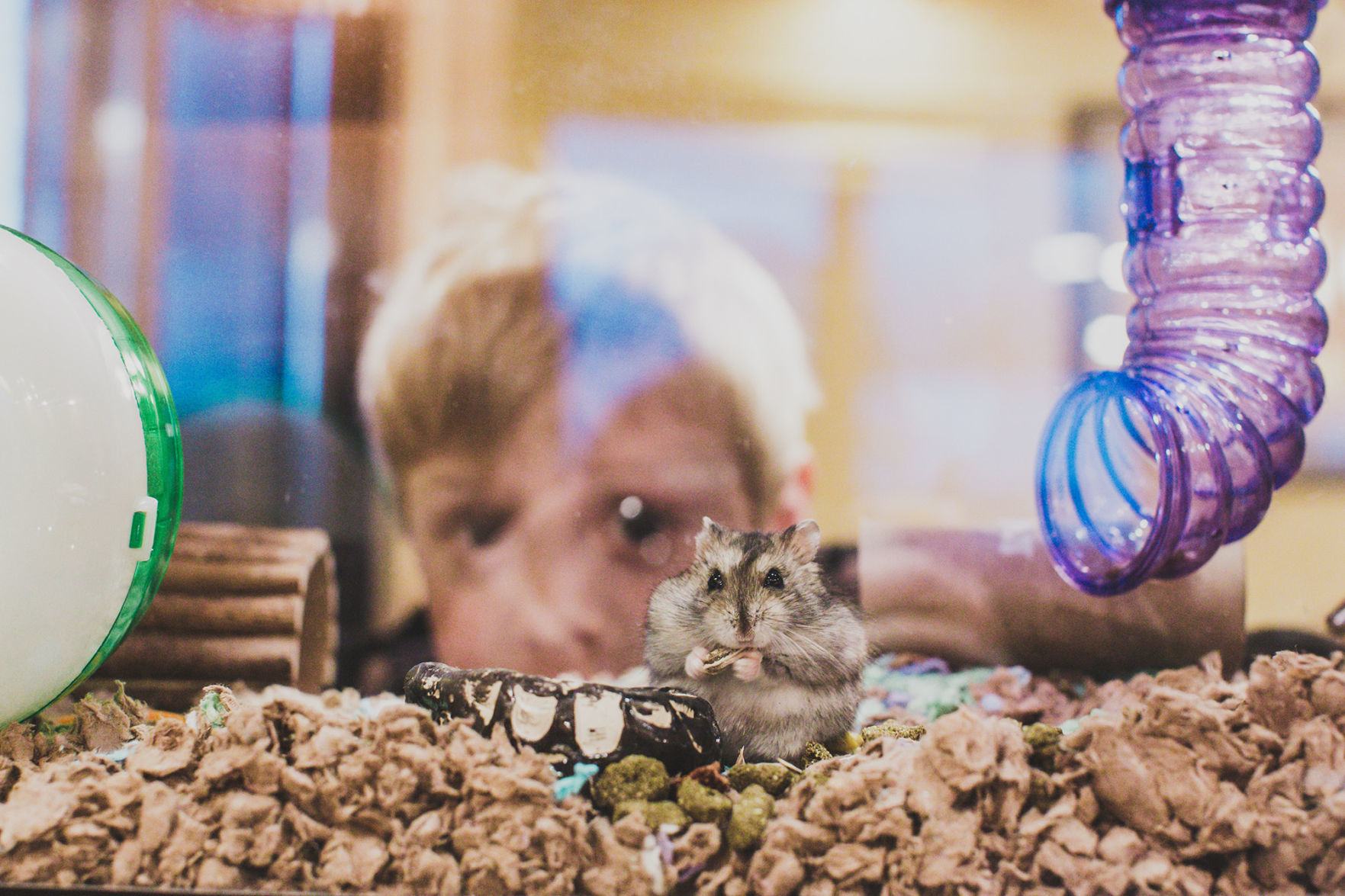 Keeping small critters apart